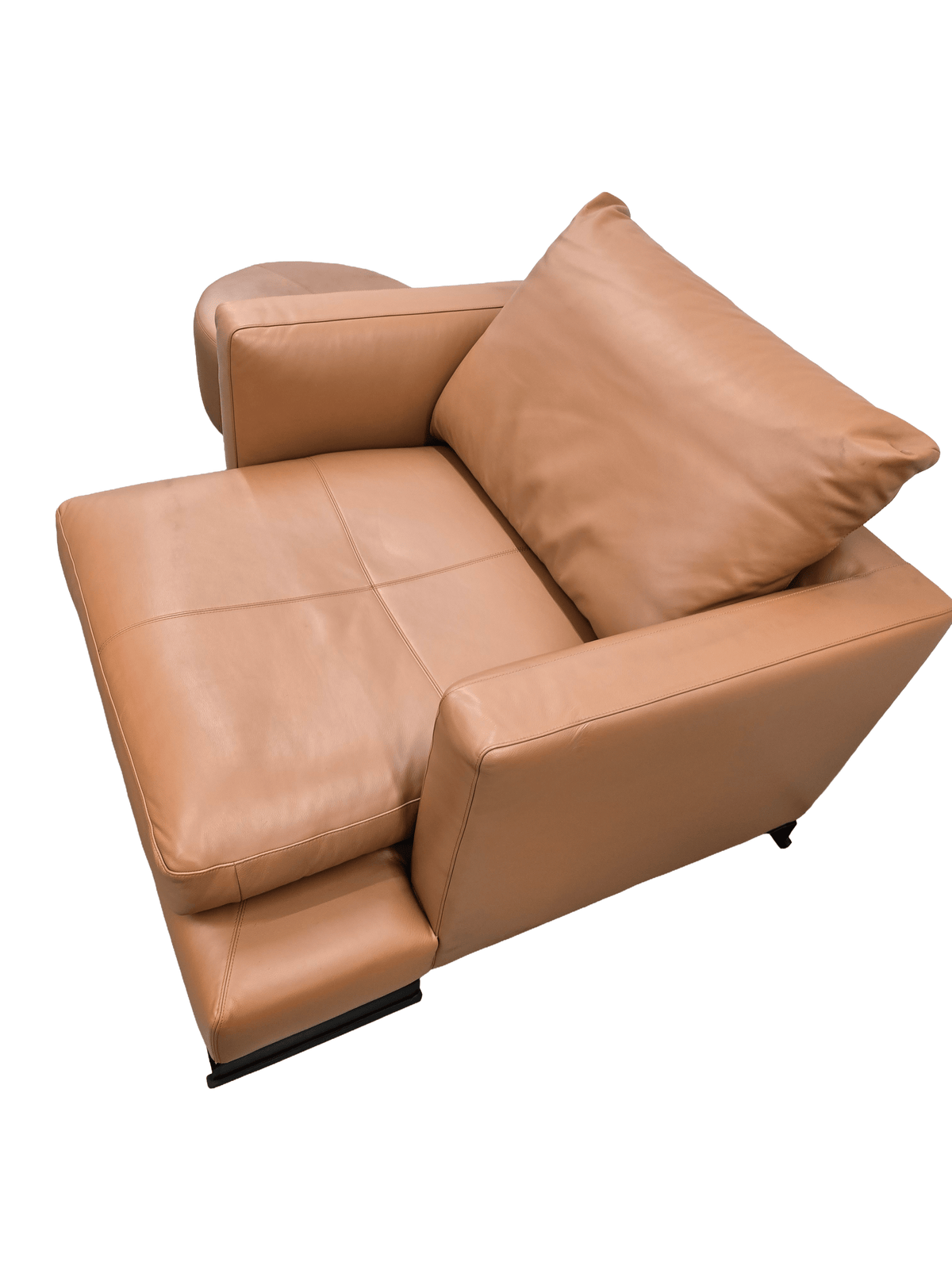 Camerich Lazytime Leather Armchair & Footstool | Luxury Designer Lounge Set - Opulent Seating