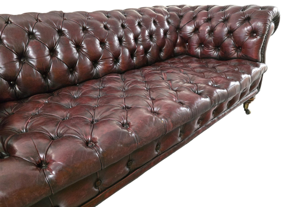 Restored Late Victorian Horsehair Chesterfield Oxblood Leather Three Seater Sofa Hand-Dyed - Opulent Seating