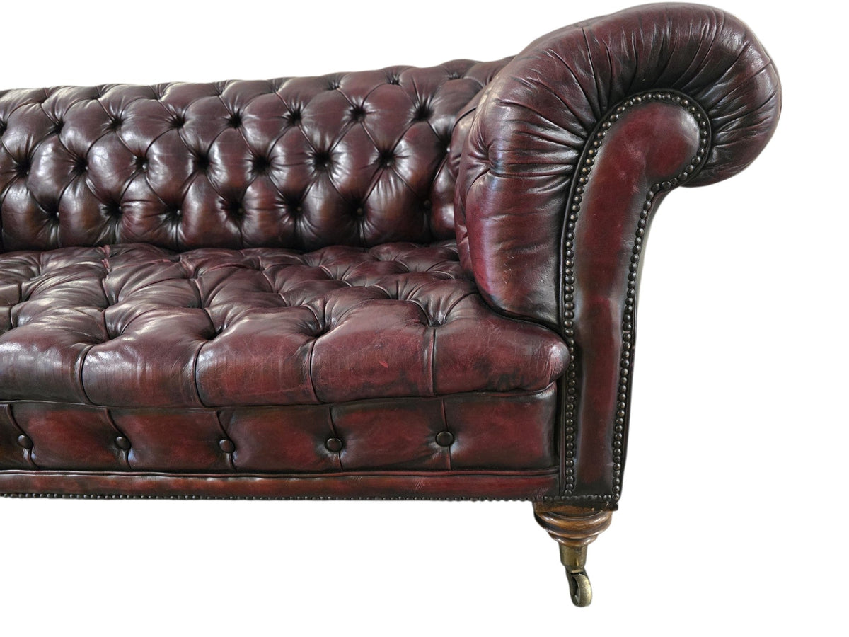 Restored Late Victorian Horsehair Chesterfield Oxblood Leather Three Seater Sofa Hand-Dyed - Opulent Seating